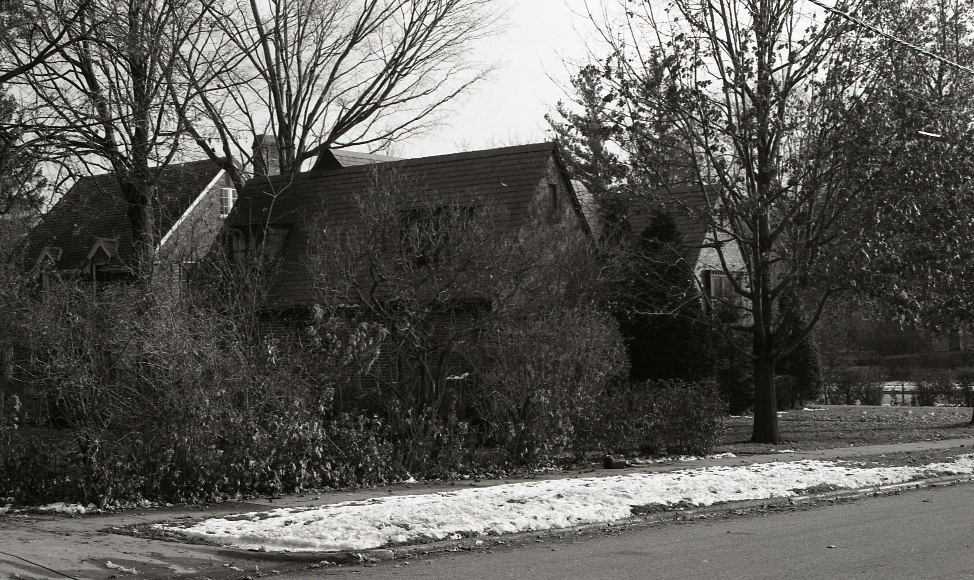 228 Sunnyside Street